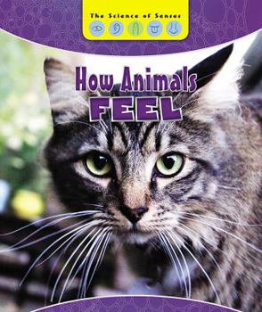 How Animals Feel - Book  of the Science of Senses