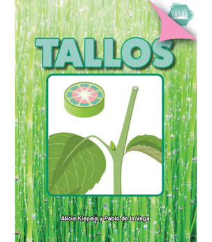 Paperback Tallos: Stem [Spanish] Book