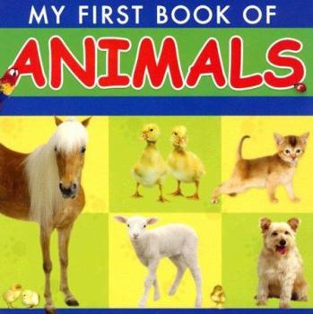 Board book My Book of Animals Book