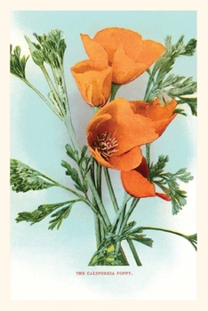Paperback The Vintage Journal California Poppies Book