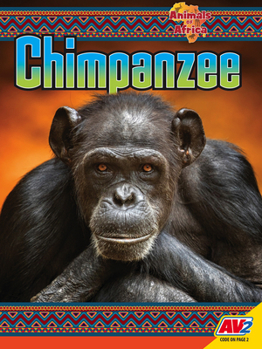Library Binding Chimpanzee Book