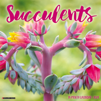 Calendar Succulents 2024 12 X 12 Wall Calendar Book