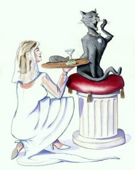 Paperback Marry My Cat?: 60 Reasons For Women Book