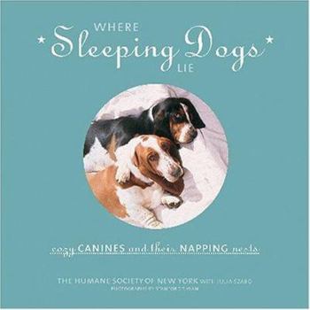 Hardcover Where Sleeping Dogs Lie: Cozy Canines and Their Napping Nests Book