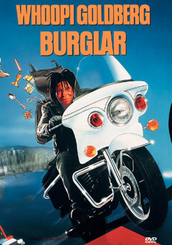 DVD Burglar Book