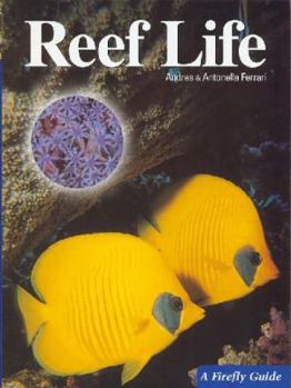 Paperback Reef Life Book