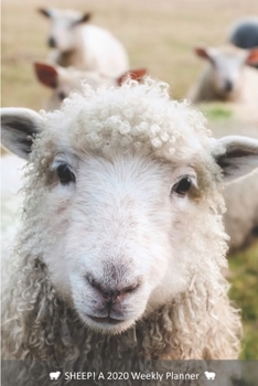 SHEEP! A 2020 Weekly Planner: Cover Sheep: May (Best Laid Plans)