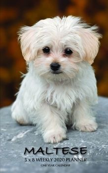 Maltese 5 x 8 Weekly 2020 Planner: One Year Calendar