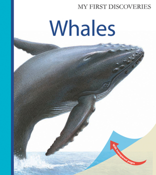 La baleine - Book  of the First Discovery