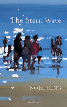 Paperback The Stern Wave Book