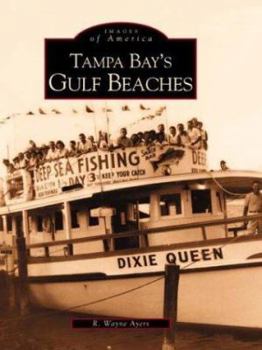 Paperback Tampa Bay's Gulf Beaches Book