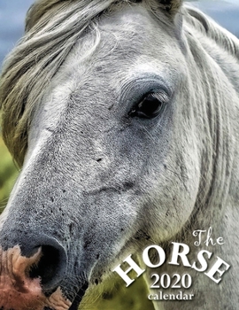 Paperback The Horse 2020 Calendar Book