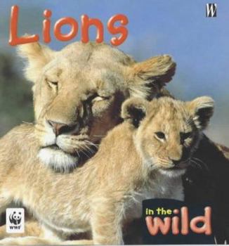 Hardcover Lions (In the Wild) Book