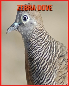 Paperback Zebra Dove: Fun Facts and Amazing Photos of Animals in Nature Book