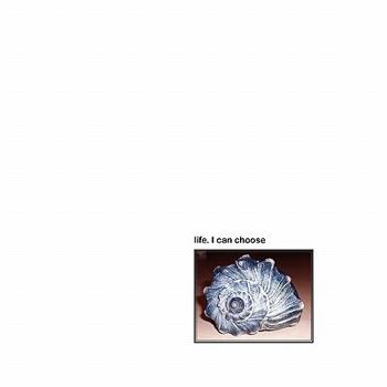 Paperback life. I can choose Book