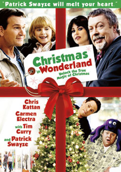 DVD Christmas in Wonderland Book