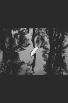 Collected Haiku: 2018 (Poetry)