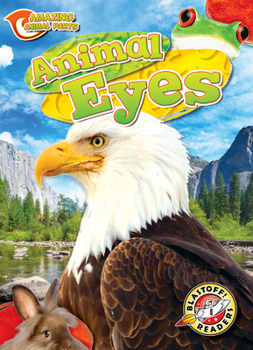 Library Binding Animal Eyes Book