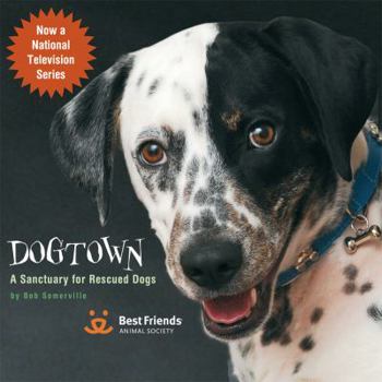 Hardcover Dogtown: A Sanctuary for Rescued Dogs Book