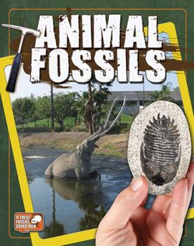 Hardcover Animal Fossils Book