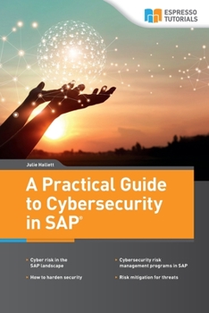 Paperback A Practical Guide to Cybersecurity in SAP Book