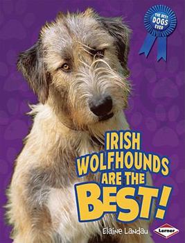 Library Binding Irish Wolfhounds Book