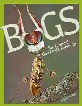Hardcover Bugs Big & Small: God Made Them All Book