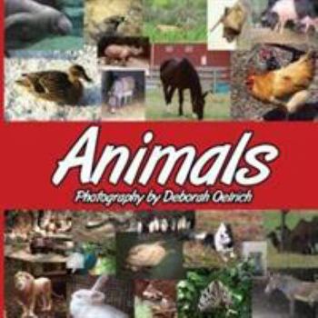 Paperback Animals Book