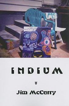 Paperback Indium Book