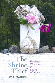 Paperback The Shrine Thief Book