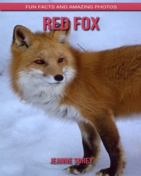 Red Fox: Fun Facts and Amazing Photos