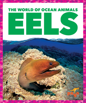 Paperback Eels Book