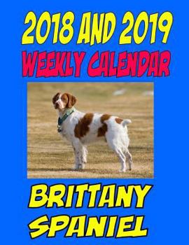 Paperback 2018 and 2019 Weekly Calendar Brittany Spaniel: Two Year Calendar, Dog Calendar, Personal Information and More Book