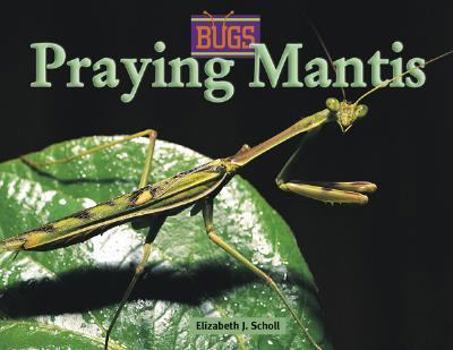 Library Binding Praying Mantis Book