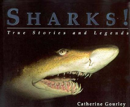 Library Binding Sharks! True Stories/Legends Book