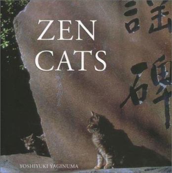 Hardcover Zen Cats Book