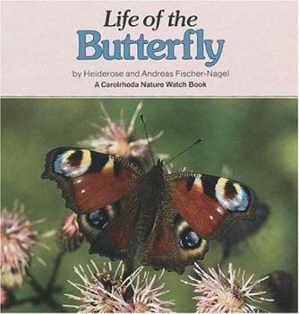 Paperback Life of the Butterfly Book