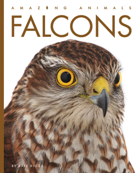 Falcons - Book  of the Amazing Animals