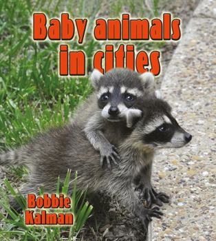 Paperback Baby Animals in Cities Book