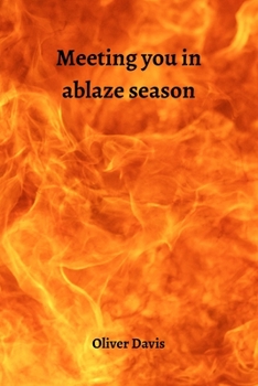 Paperback Meeting you in ablaze season Book