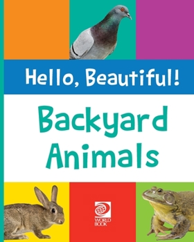 Paperback Backyard Animals Book