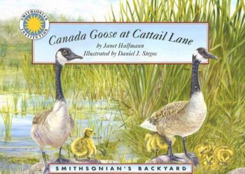 Hardcover Canada Goose at Cattail Lane (Smithsonian's Backyard) Book