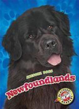 Newfoundlands - Book  of the Awesome Dogs