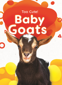 Baby Goats