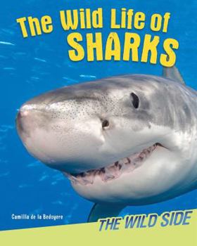 Paperback The Wild Life of Sharks Book