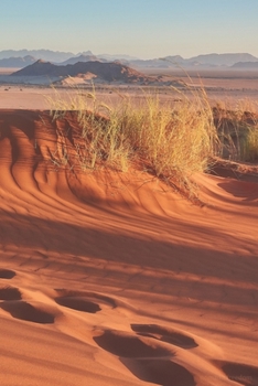 Kalender 2020: Wochenplaner Namibia Edition | Praktischer Organizer im DIN A5 Format für Weltenbummler mit Fernweh | 1 Doppelseite = 1 Woche (German Edition)