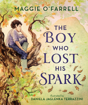 Paperback The Boy Who Lost His Spark Book