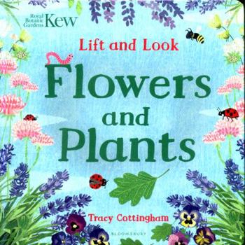 Kew Lift & Look Flowers & Plants