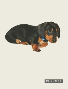 Planner: Dachshund PuppyAnime & Chill 2 Year Monthly Planner with Note Pages (24 Months) | Jan 2020 - Dec 2021 | Month Planning | Appointment Calendar ... | Plan Each Day, Set Goals & Get Stuff Done