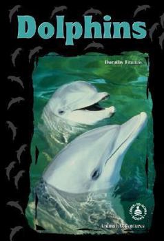 Library Binding Dolphins Book
